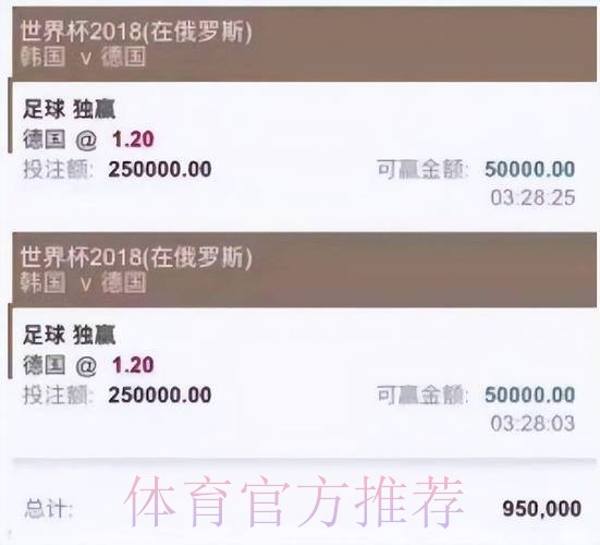 全面了解世界杯投注官网最新网址平台的优势与选择