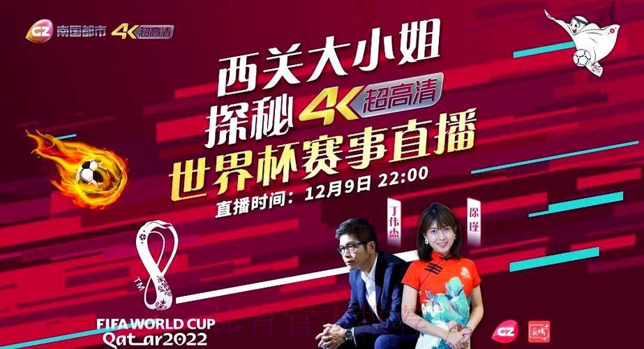 世界杯直播正规全站观看平台解析